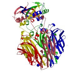 Image of CATH 4dmi