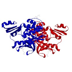 Image of CATH 4dmo