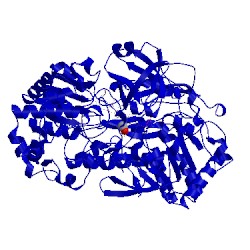 Image of CATH 4dmr