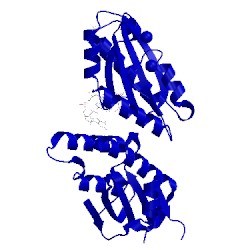 Image of CATH 4dn0