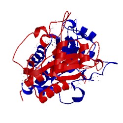 Image of CATH 4dn2