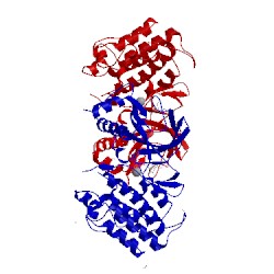 Image of CATH 4dn5