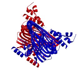 Image of CATH 4dn7