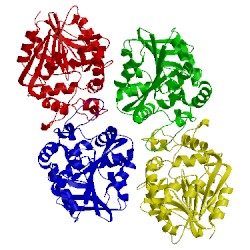 Image of CATH 4dnf