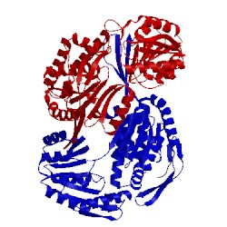Image of CATH 4dng