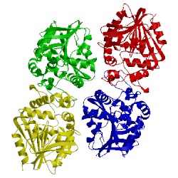 Image of CATH 4dno