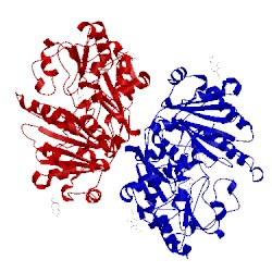 Image of CATH 4dns