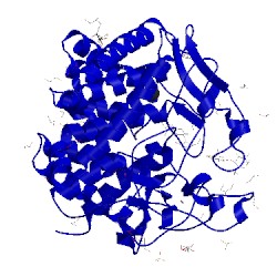 Image of CATH 4doe
