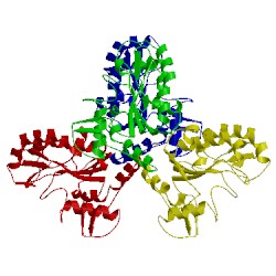 Image of CATH 4dof