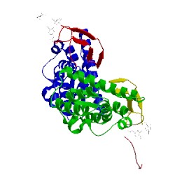 Image of CATH 4doh