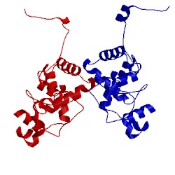 Image of CATH 4dox