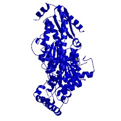 Image of CATH 4doz