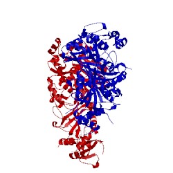 Image of CATH 4dp3