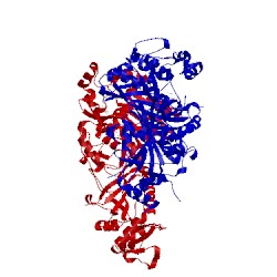 Image of CATH 4dpd