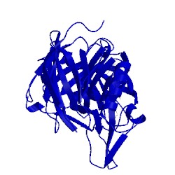 Image of CATH 4dpf