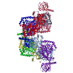 Image of CATH 4dpg