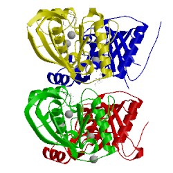 Image of CATH 4dr9