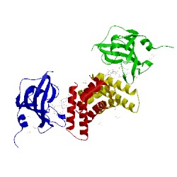 Image of CATH 4drh