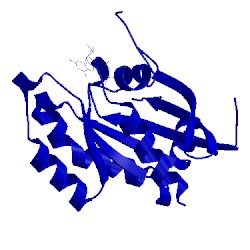 Image of CATH 4drz