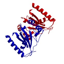 Image of CATH 4ds2
