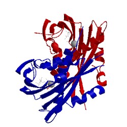 Image of CATH 4dsc