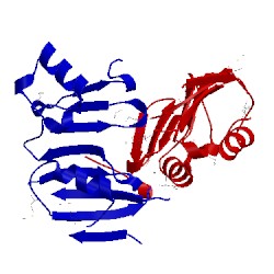 Image of CATH 4dsd