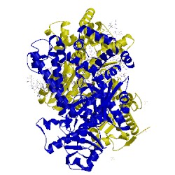 Image of CATH 4dsf