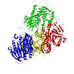 Image of CATH 4dsy