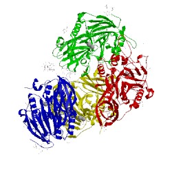 Image of CATH 4dt2