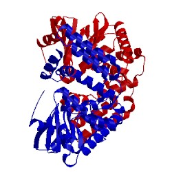 Image of CATH 4dt9