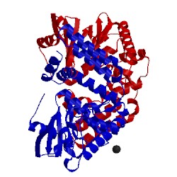 Image of CATH 4dtb