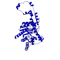 Image of CATH 4duo