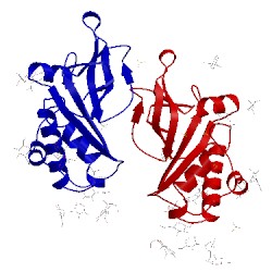 Image of CATH 4dvk