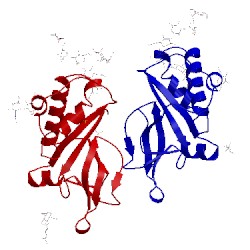 Image of CATH 4dw7