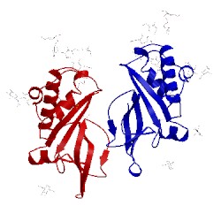 Image of CATH 4dwa