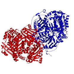 Image of CATH 4dwk