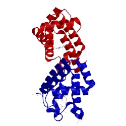 Image of CATH 4dwt