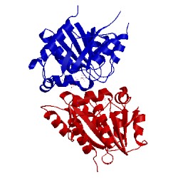Image of CATH 4e07