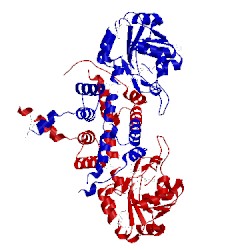 Image of CATH 4e21