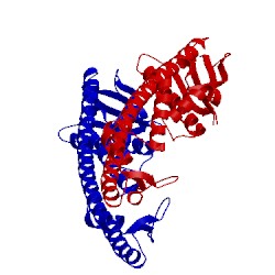 Image of CATH 4e2c