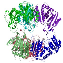 Image of CATH 4e2f