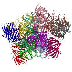 Image of CATH 4e2s