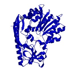 Image of CATH 4e2y