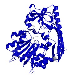 Image of CATH 4e2z