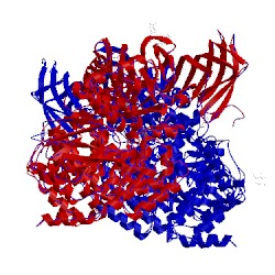 Image of CATH 4e36