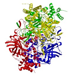 Image of CATH 4e37