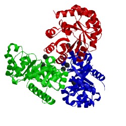 Image of CATH 4e38