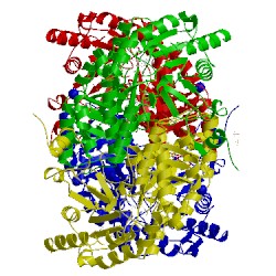 Image of CATH 4e3q