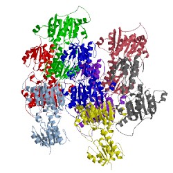 Image of CATH 4e5n