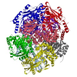 Image of CATH 4e5t
